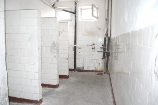 Şcolile din Constanţa: fără apă curentă, fără grupuri sanitare, cu plafoane degradate